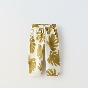 Zara pants